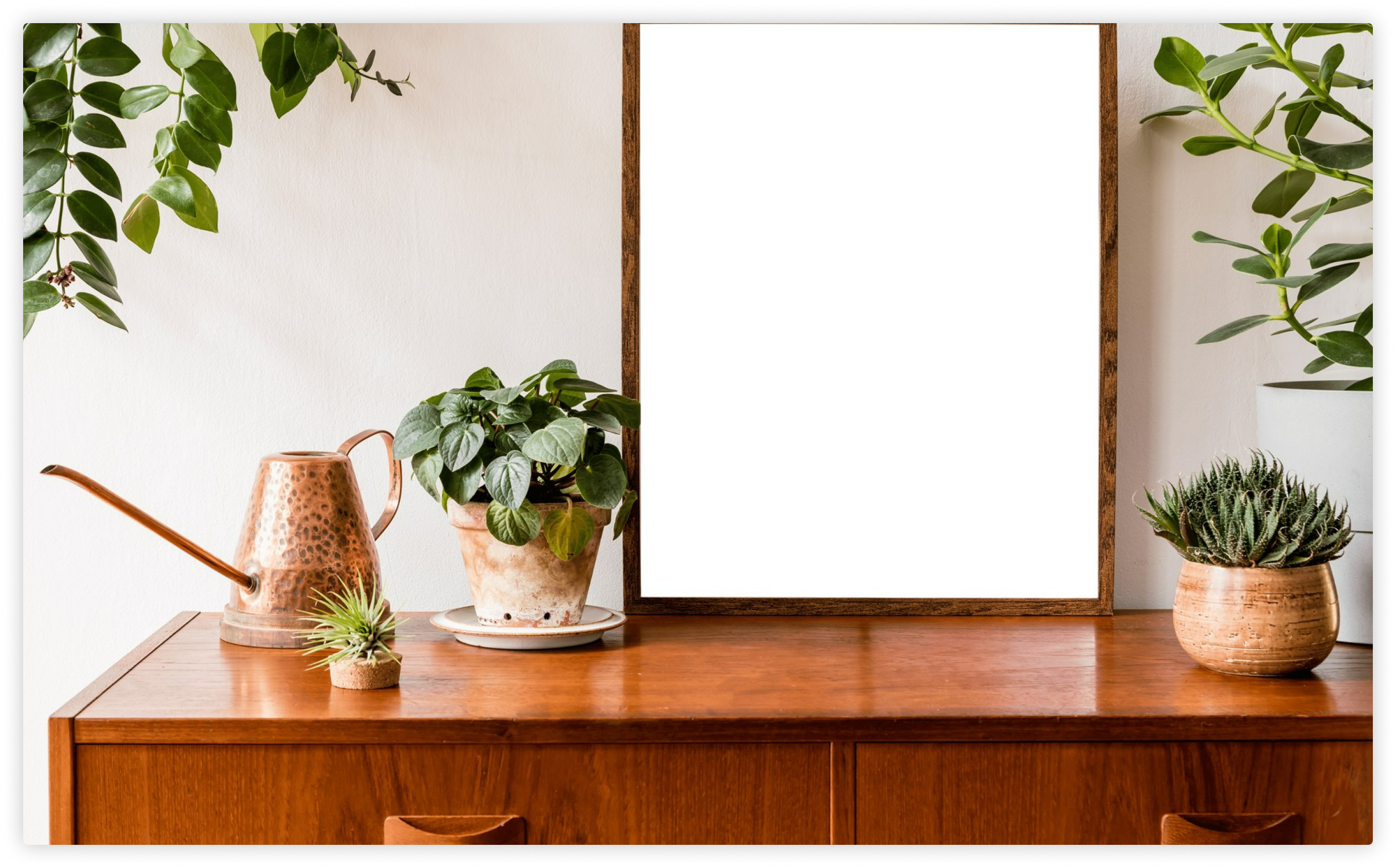 venner-image