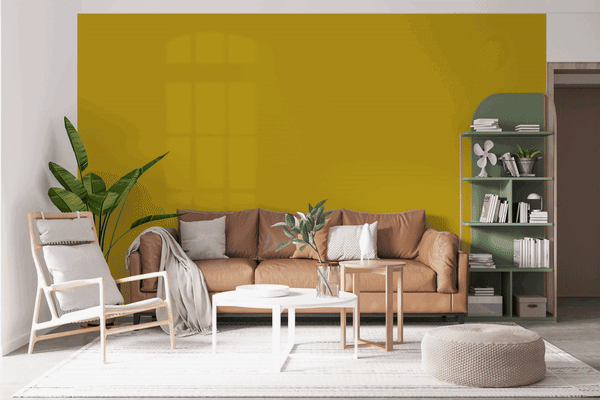 color-consulation
