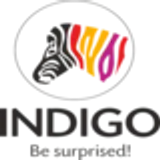 Indigo Paints price