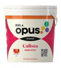 Birla paints calista ever stay - Aapka Painter