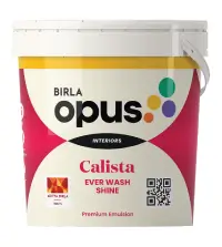 Birla paints calista ever wash shine - Aapka Painter