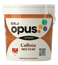 Birla paints calista neo star - Aapka Painter