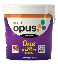 Birla paints one pure elegance shine - Aapka Painter