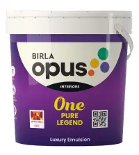 Birla paints one pure legend - Aapka Painter