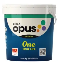 Birla paints one true life - Aapka Painter