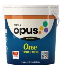 Birla paints one true look - Aapka Painter