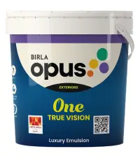 Birla paints one true vision - Aapka Painter
