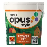 Birla paints style power fit - Aapka Painter