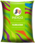 Indigo paints floracem - Aapka Painter