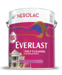 Nerolac Paints Excel Everlast - Aapka Painter