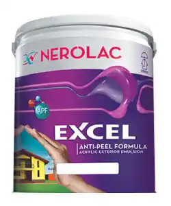 Nerolac Paints Excel Texture Finish Frost - Aapka Painter