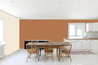 dining-room color combination