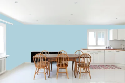 dining-room color combination