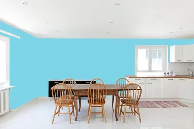 dining-room color combination