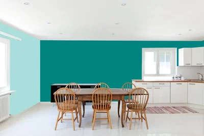 dining-room color combination