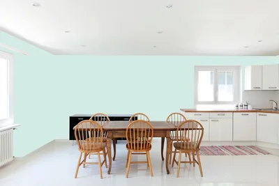 dining-room color combination