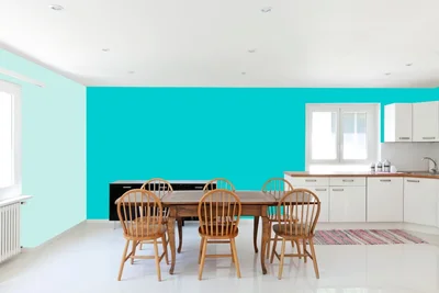 dining-room color combination