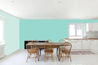 dining-room color combination