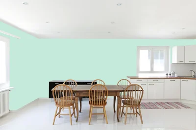 dining-room color combination