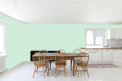 dining-room color combination