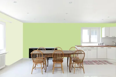 dining-room color combination