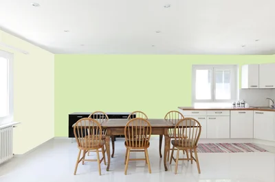 dining-room color combination