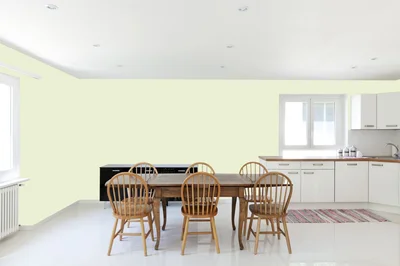 dining-room color combination