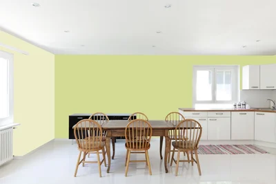 dining-room color combination