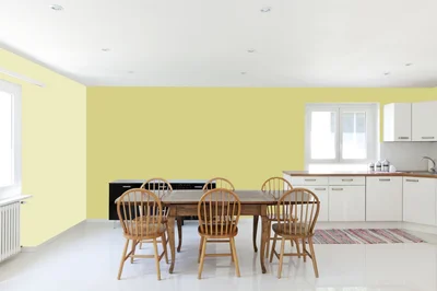 dining-room color combination