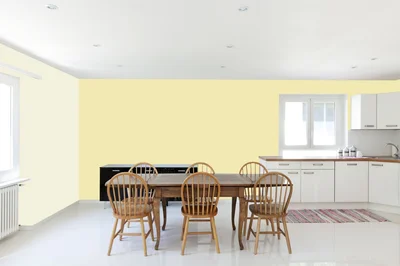 dining-room color combination