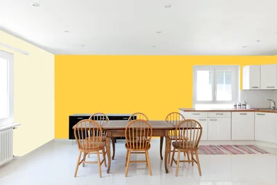 dining-room color combination