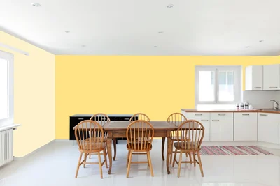 dining-room color combination