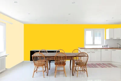 dining-room color combination