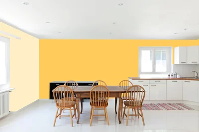 dining-room color combination