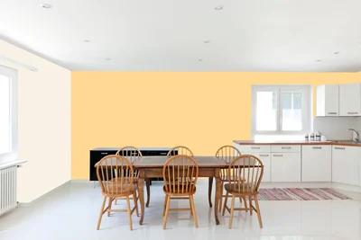 dining-room color combination