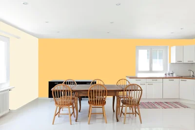 dining-room color combination