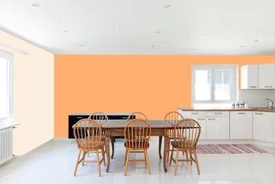 dining-room color combination