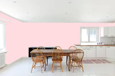 dining-room color combination