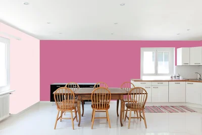 dining-room color combination