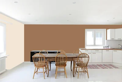 dining-room color combination