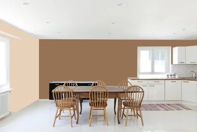 dining-room color combination