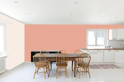 dining-room color combination