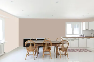 dining-room color combination