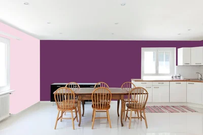 dining-room color combination