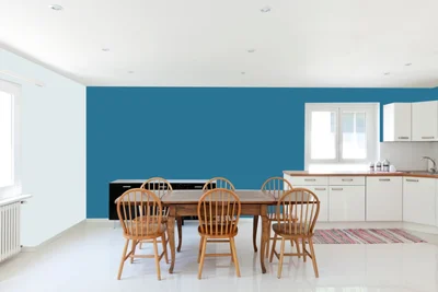 dining-room color combination