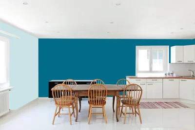 dining-room color combination