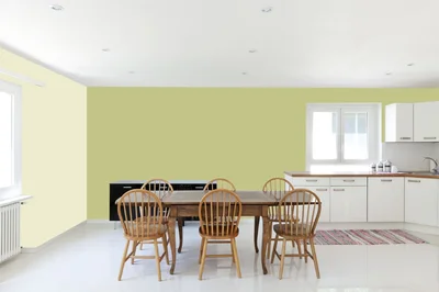 dining-room color combination