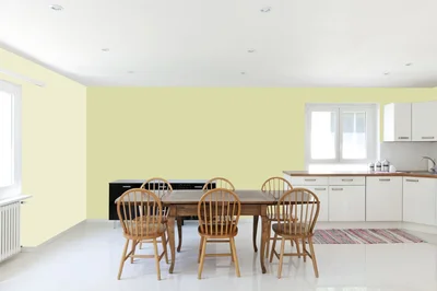 dining-room color combination