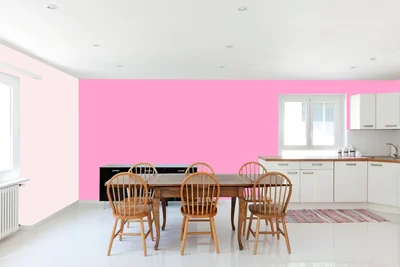 dining-room color combination