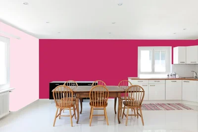 dining-room color combination